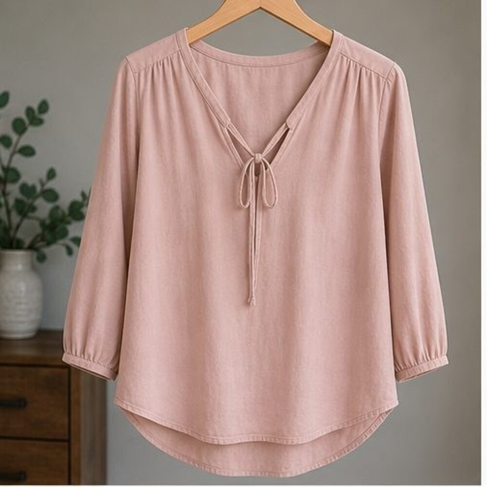 Blush V Neck Top